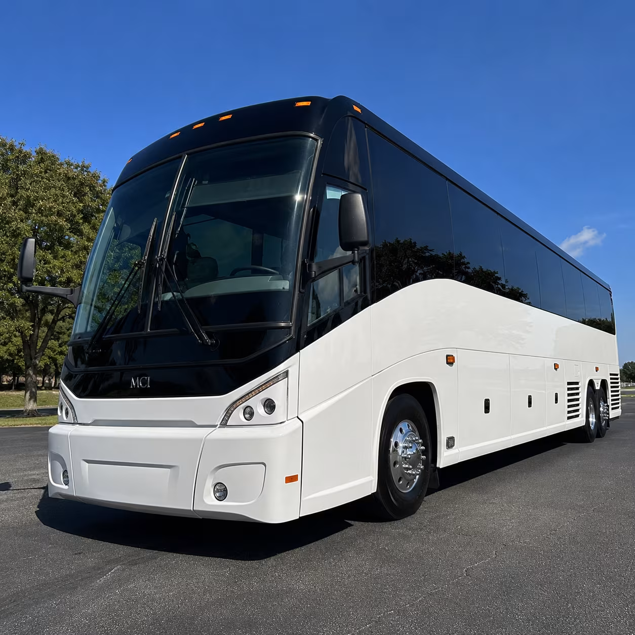 youth group mission buses to feed my starving children and east valley volunteer sites